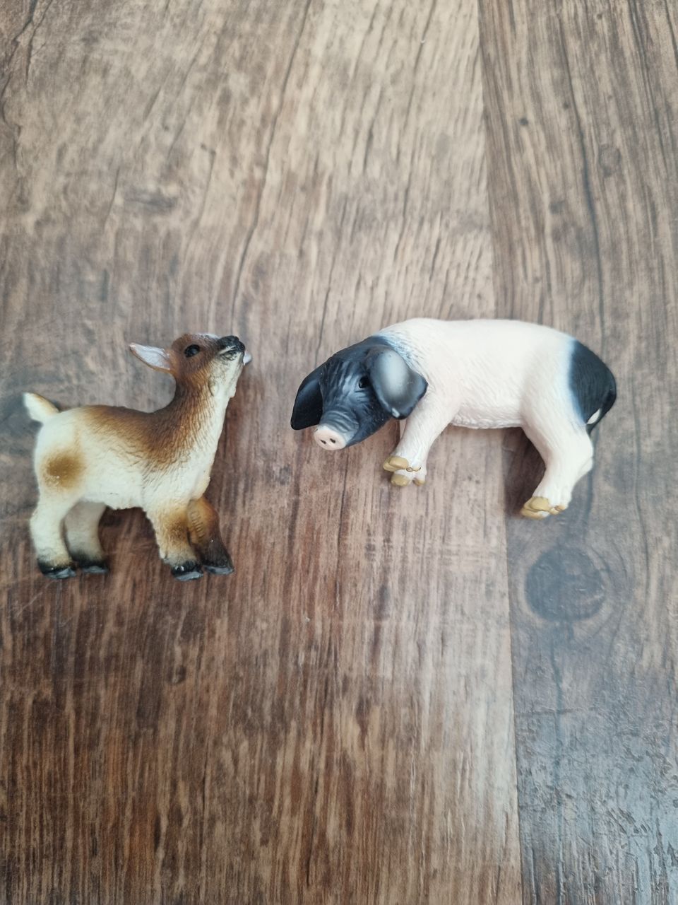 Schleich kili ja possu