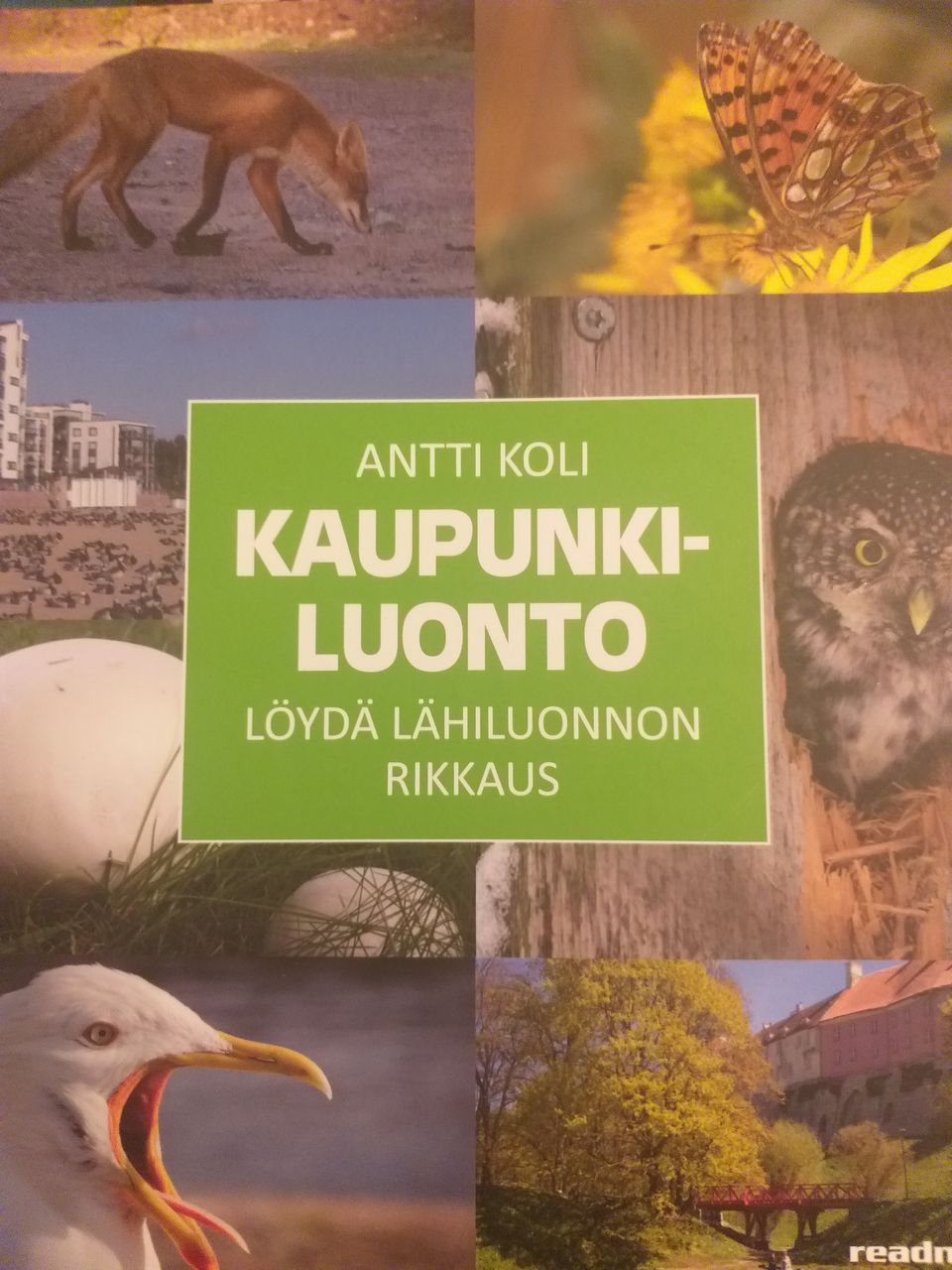 Kaupunkiluonto