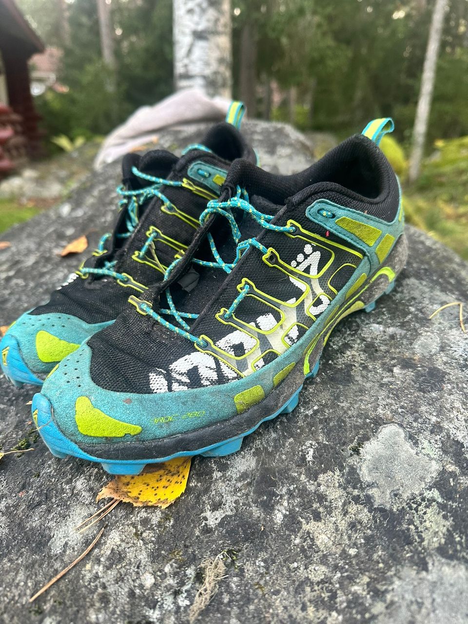 Inov oroc 280 nastarit koko 40