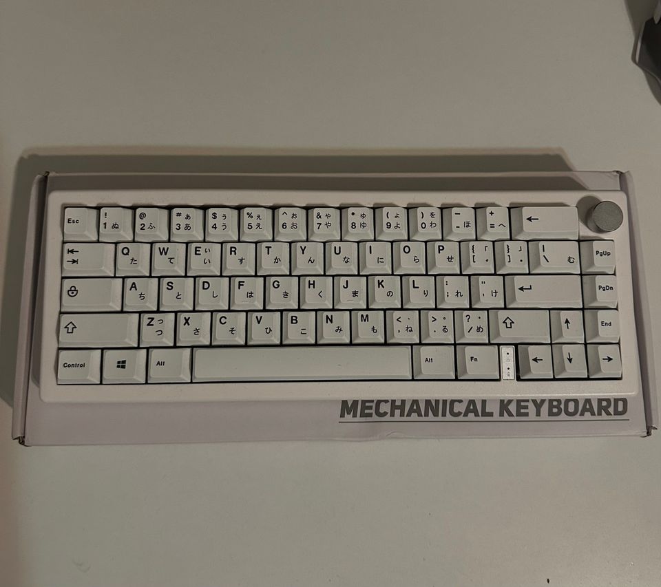 GMK67 CUSTOM KEYBOARD KTT KANG WHITE V3 KYTKIMET