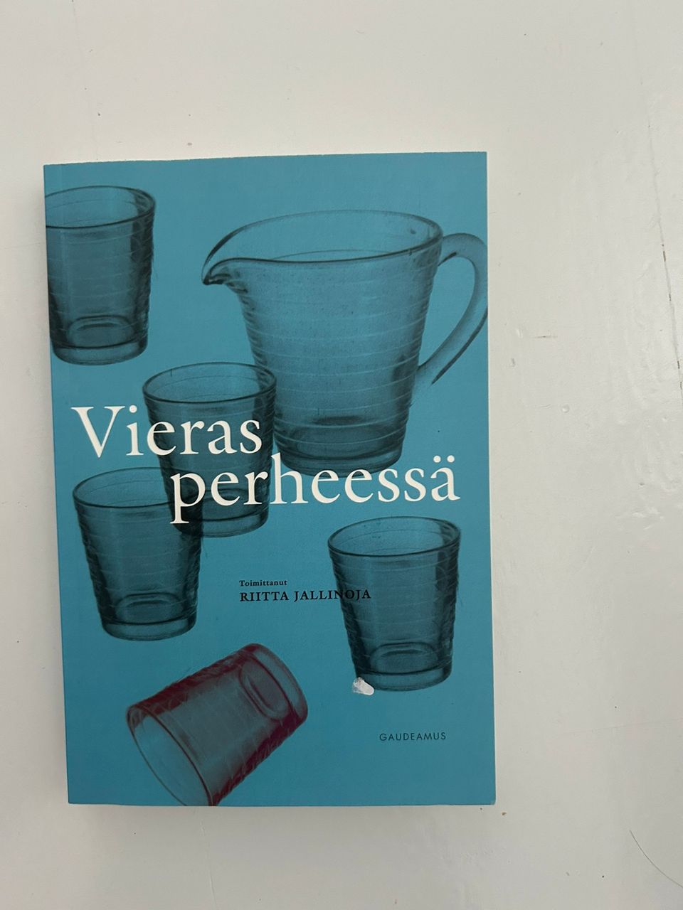 Vieras perheessä