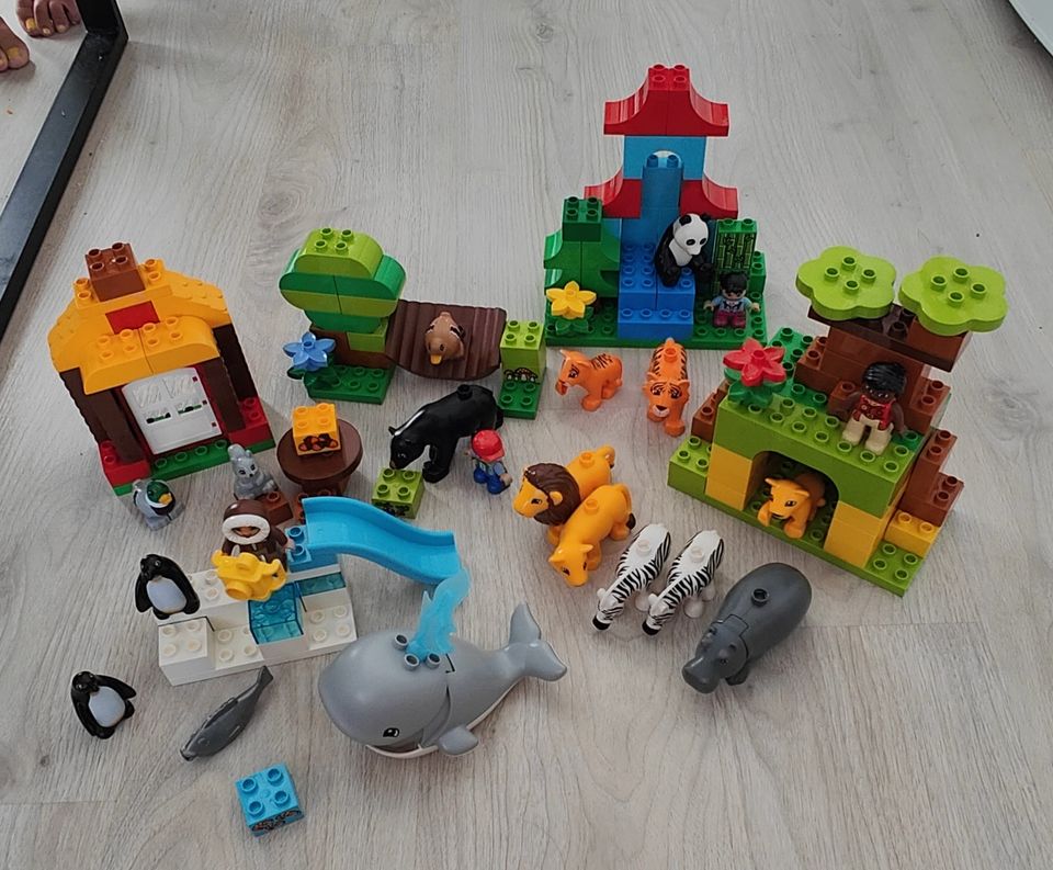 Duplo Around the World 10805