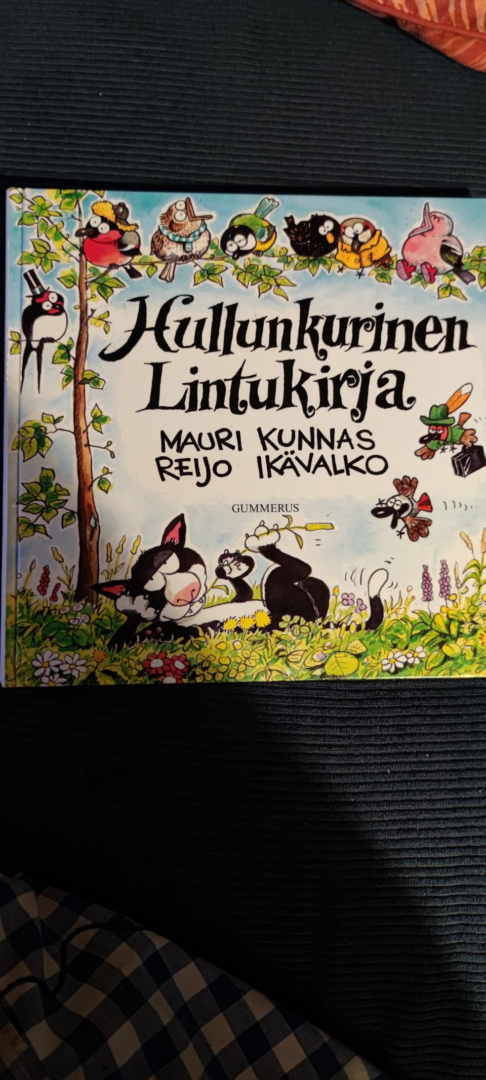 Ilmoituksen kuva