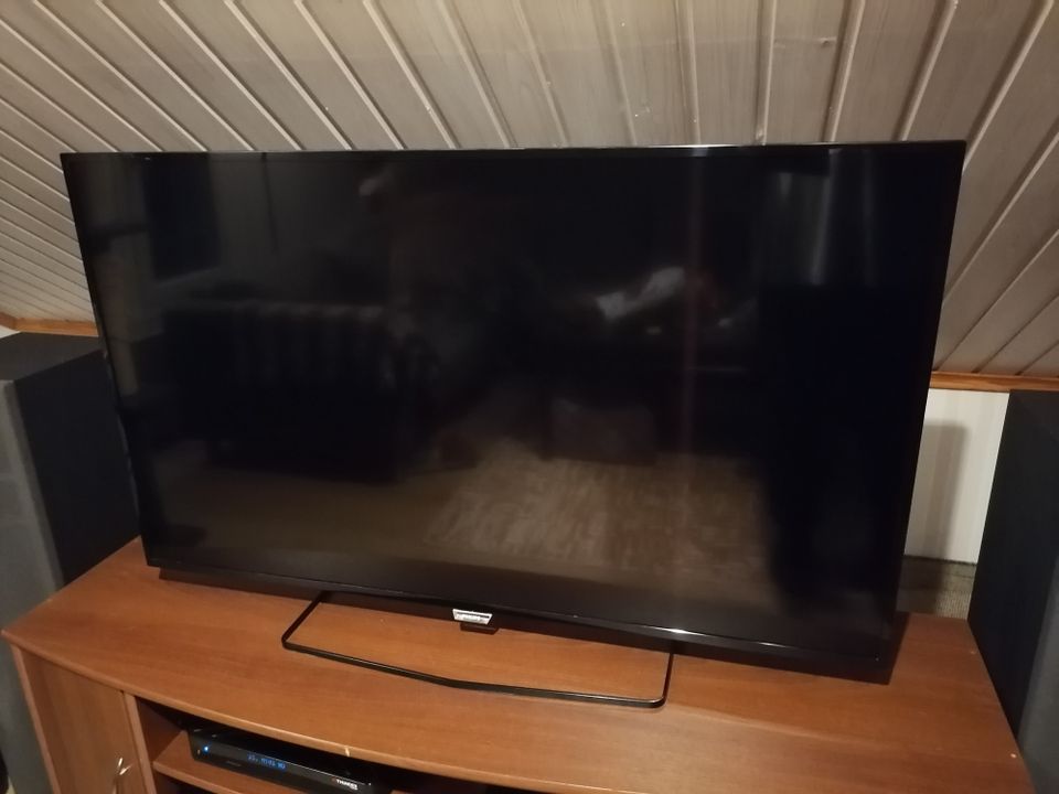 Philips HD 49"