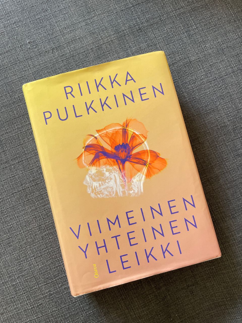 Viimeinen yhteinen leikki -kirja