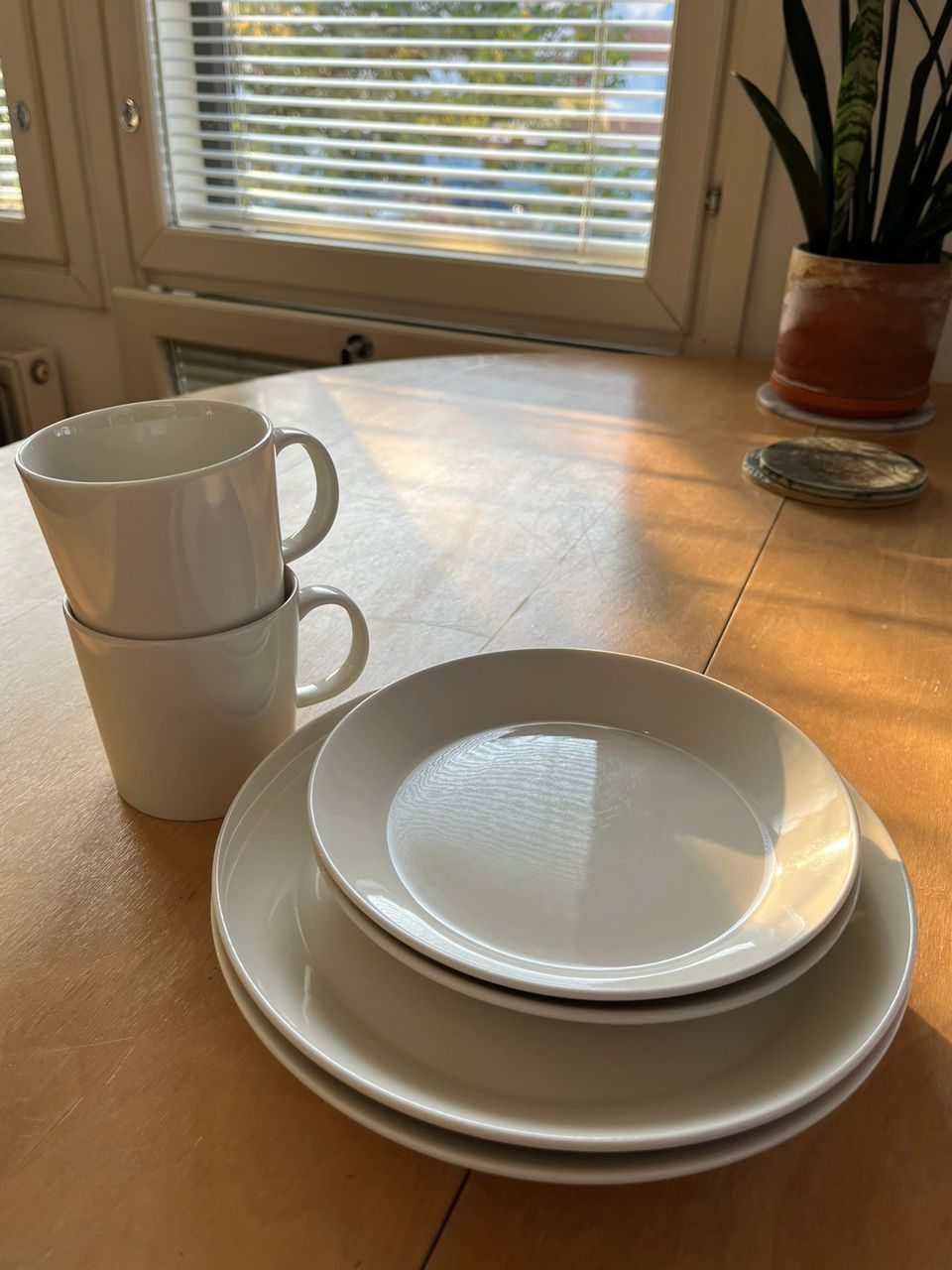 Iittala teema kupit ja lautaset