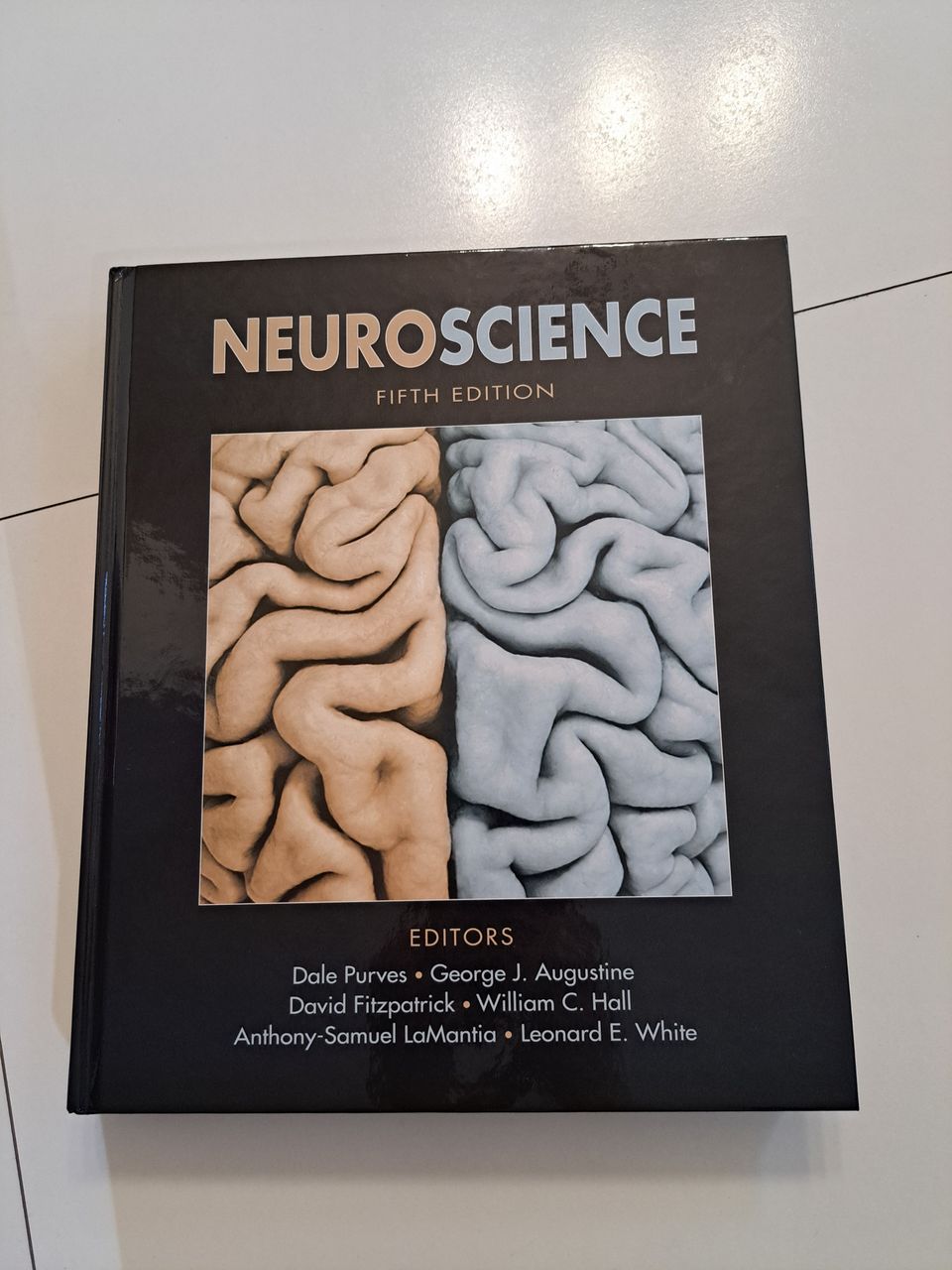 Neuroscience - Purves, Augustine, Fitzpatrick, Hall, LaMantia, White