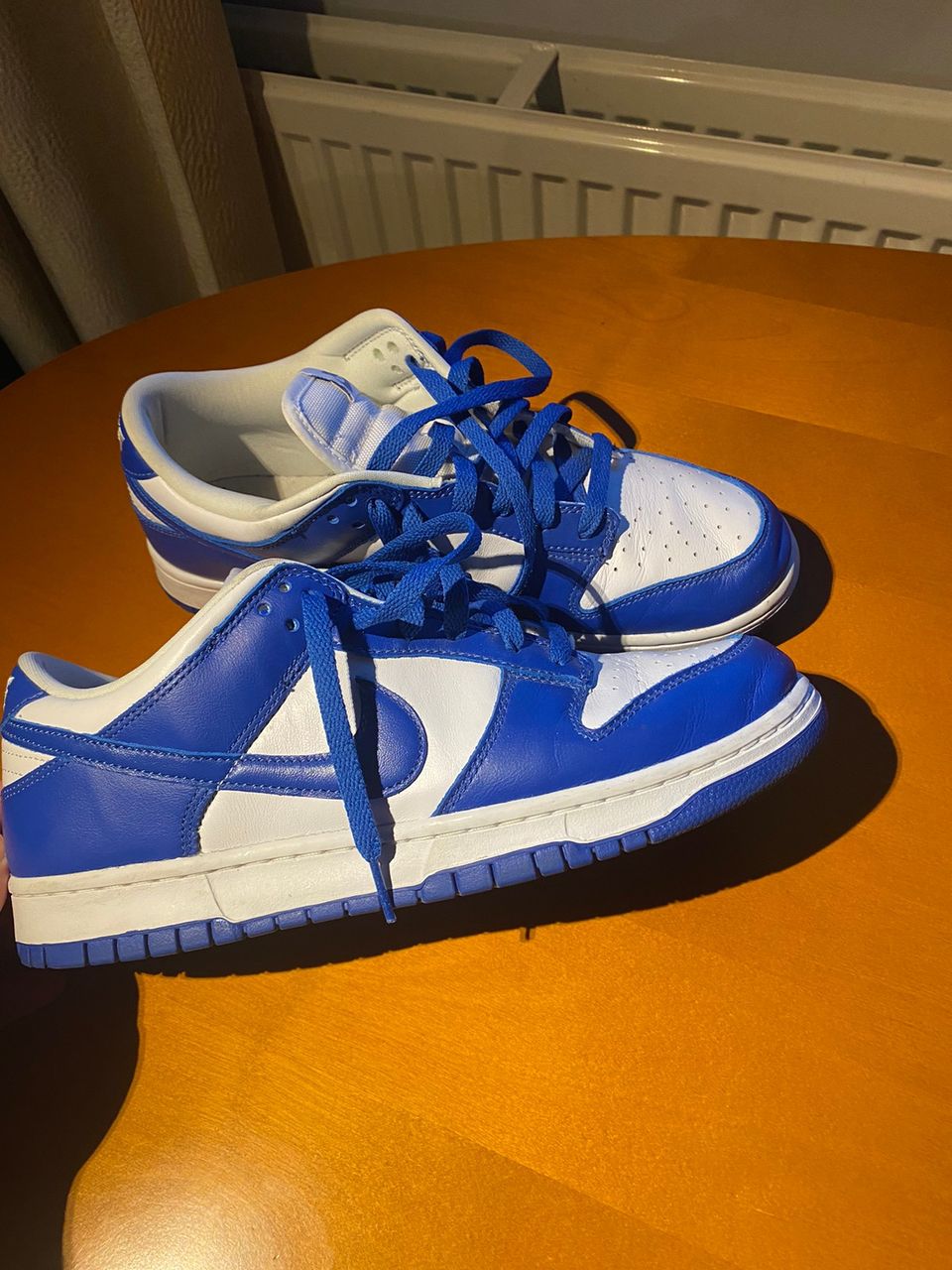 Nike dunk low (kentucky)