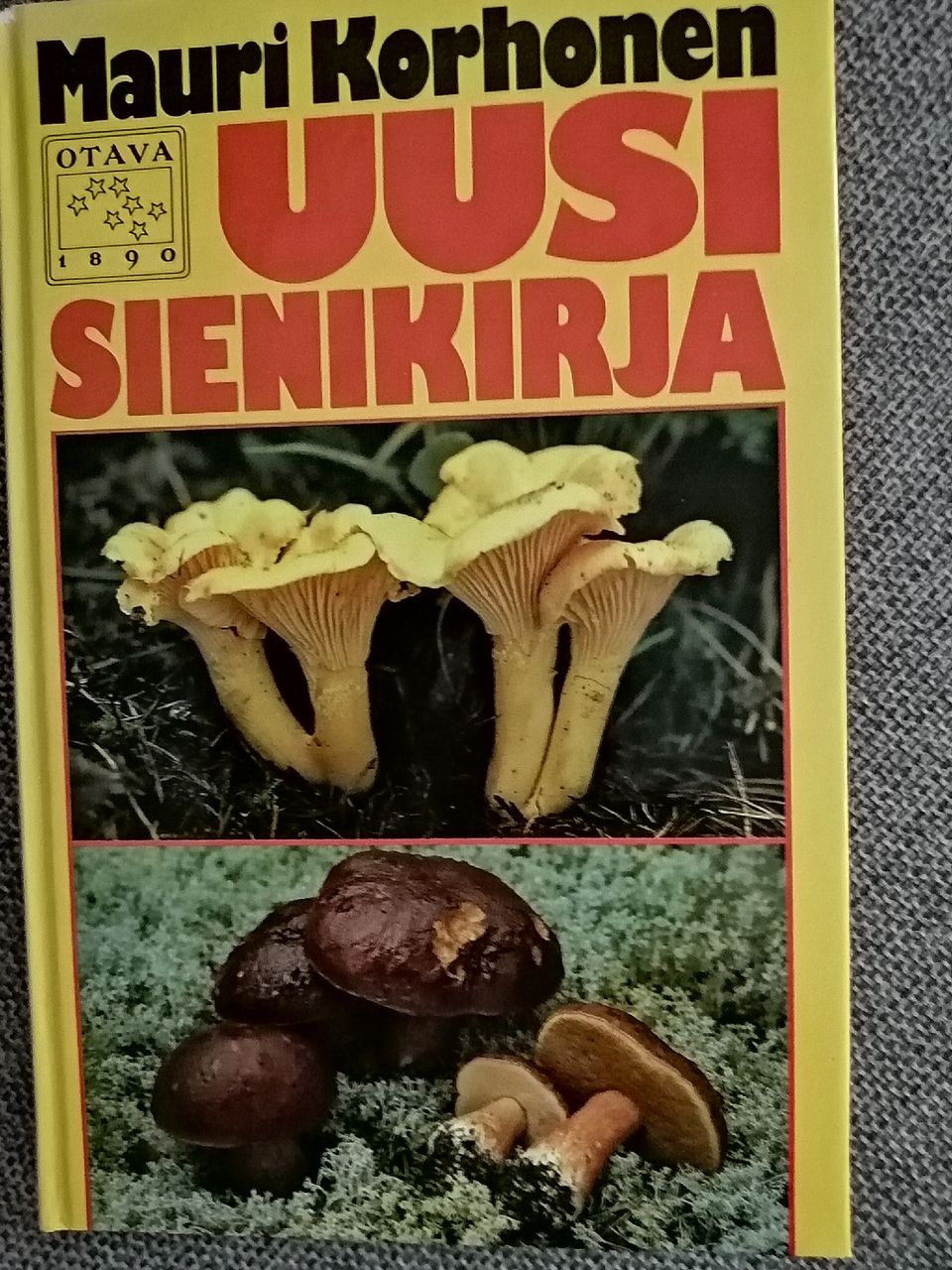 UUSI SIENIKIRJA vuodelta 1991