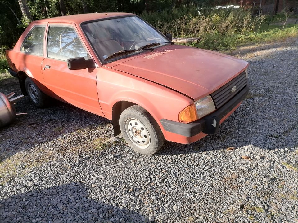 Ford Escort osina