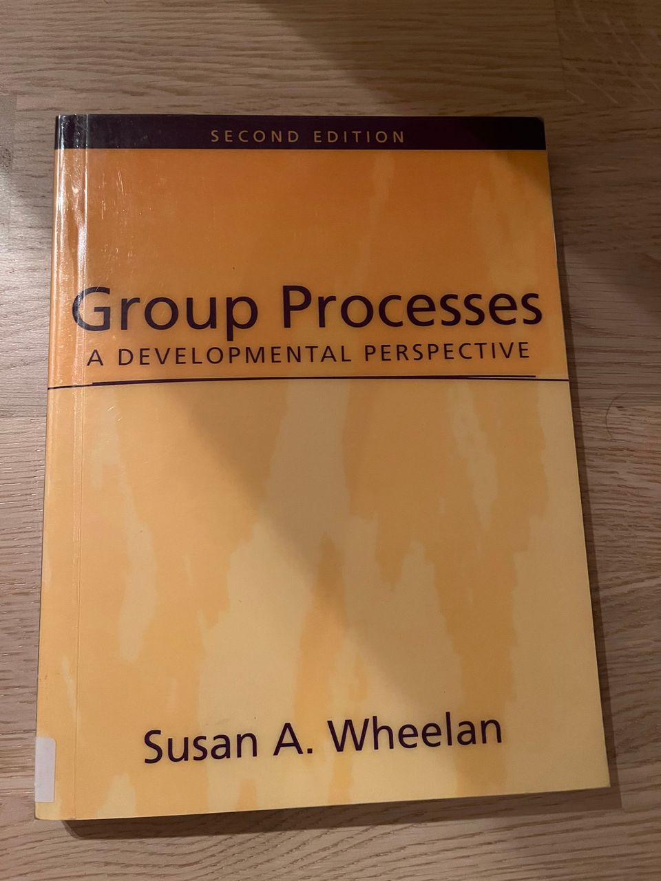 Group Processes: A Developmental Perspective (Susan A. Wheelan)