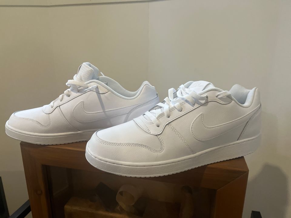 Nike Ebernon low US 13