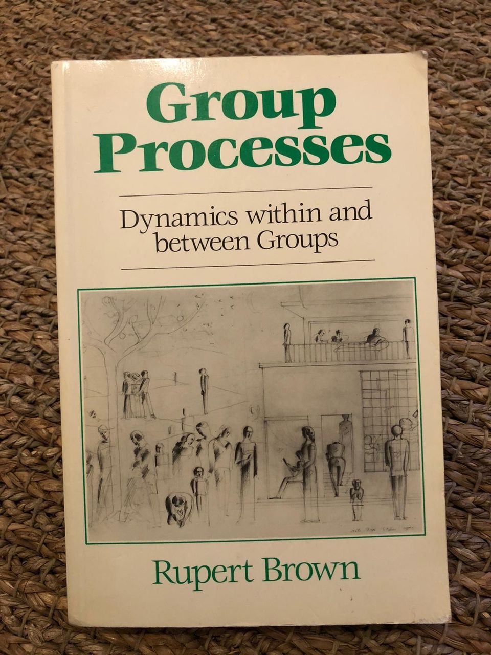 Group Processes (Rupert Brown)