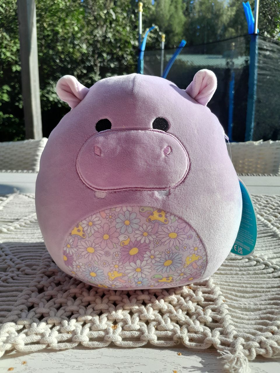 Squishmallows hippo Hanna