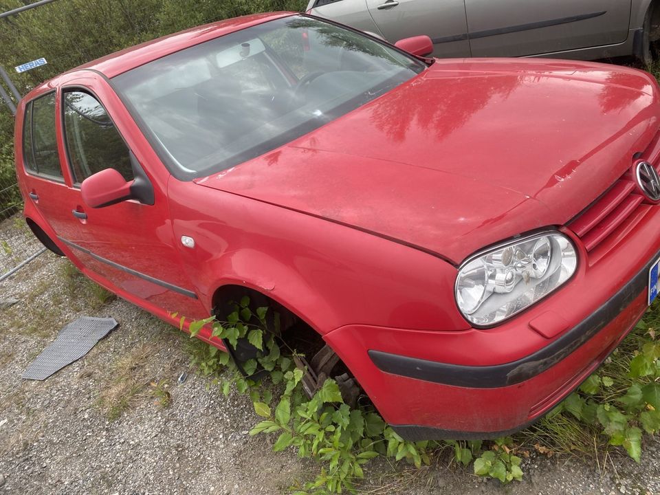 VOLKSWAGEN GOLF (IV) 2001 Osina!!!