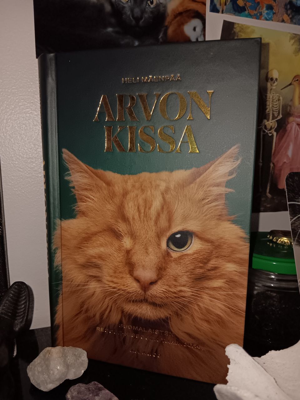 Arvon kissa-kirja