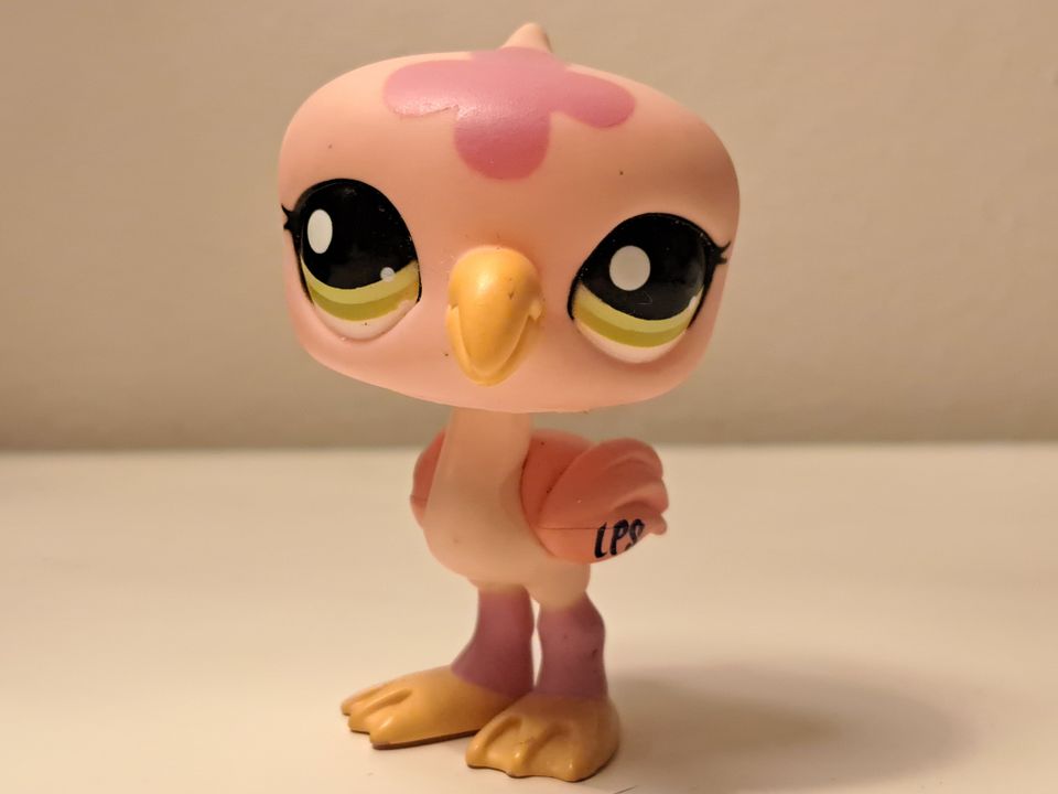 LPS flamingo