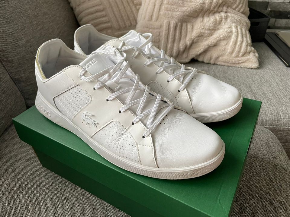 Lacoste novas 120