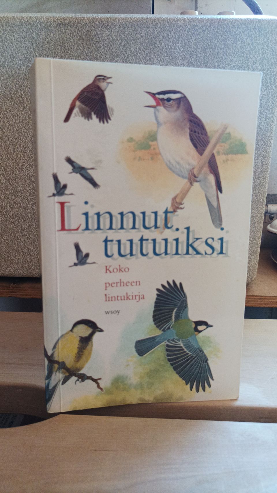 Linnut tutuiksi koko perheen lintukirja