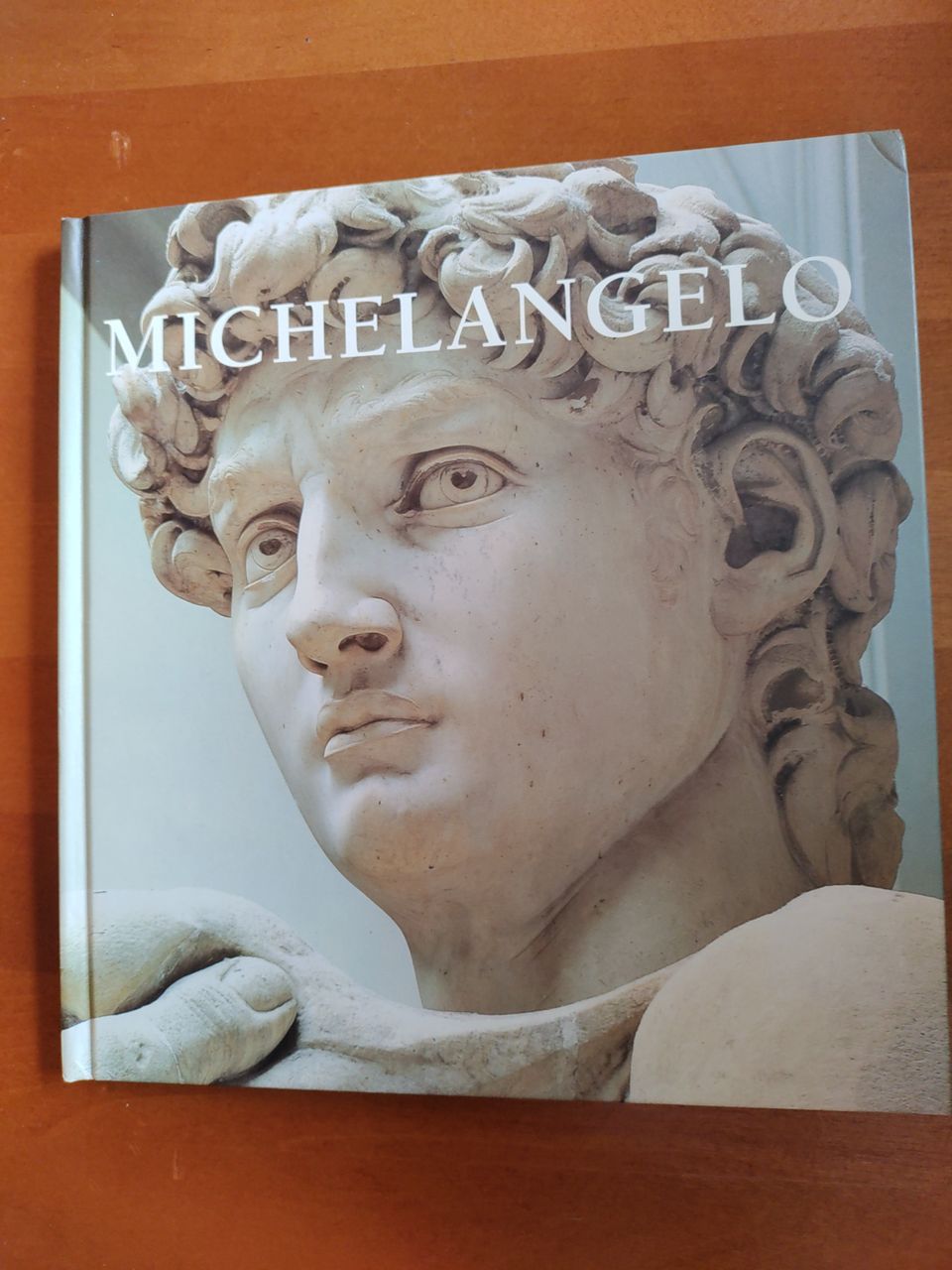 Taidekirja Michelangelo