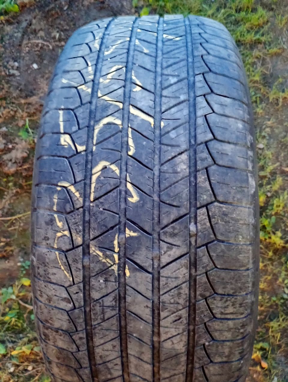 235/55r18 kesärengas