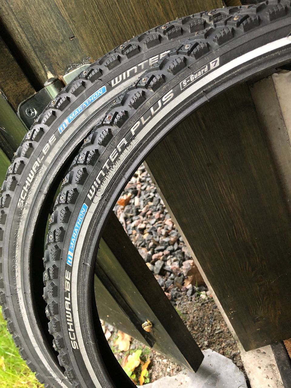 Schwalbe marathon winter plus (20x1.60) nastarenkaat