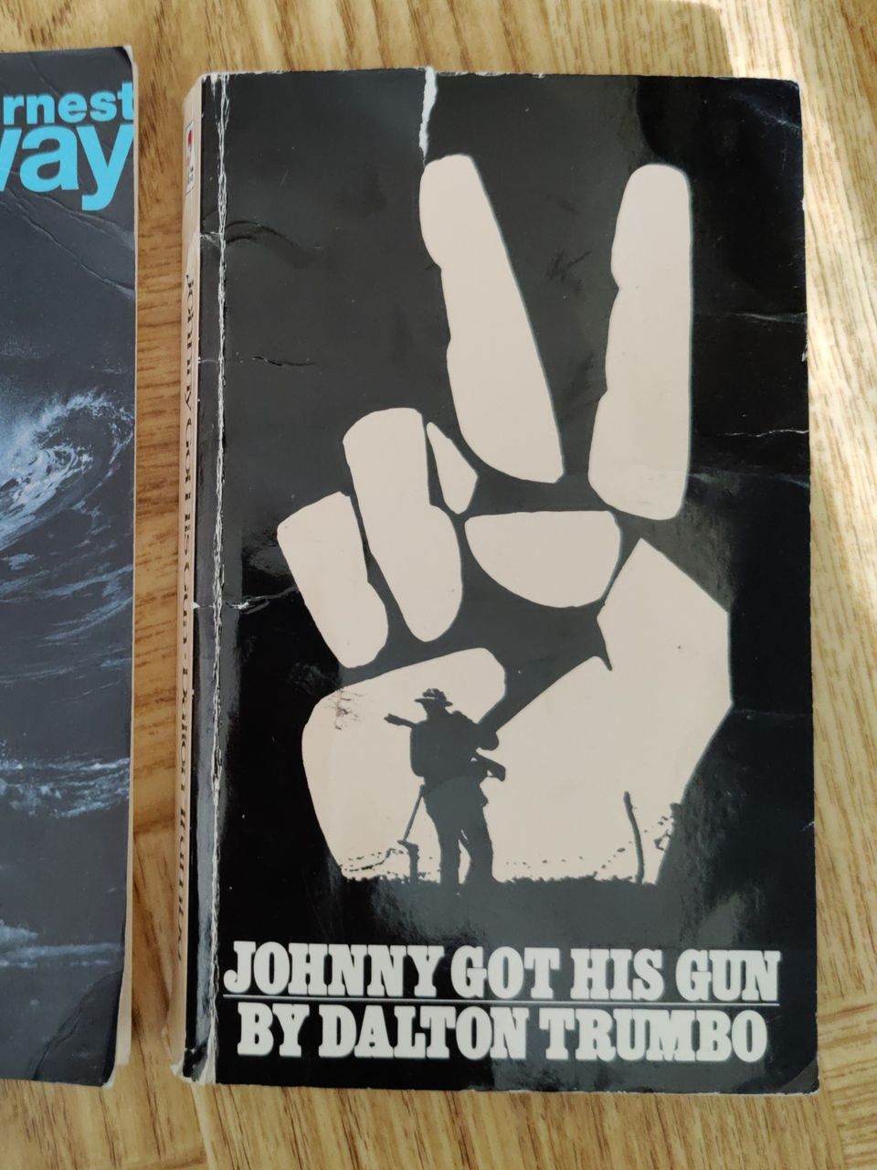 Book in English: Johnny got his gun