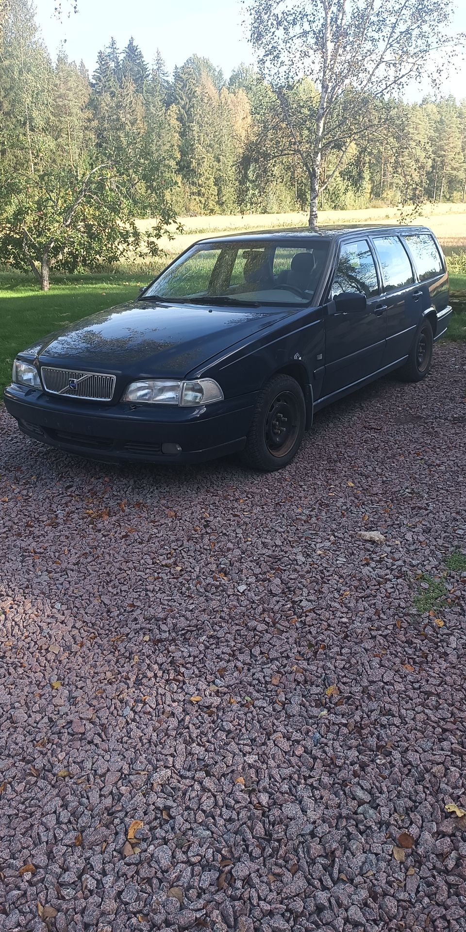 Volvo V70 mk1 osina