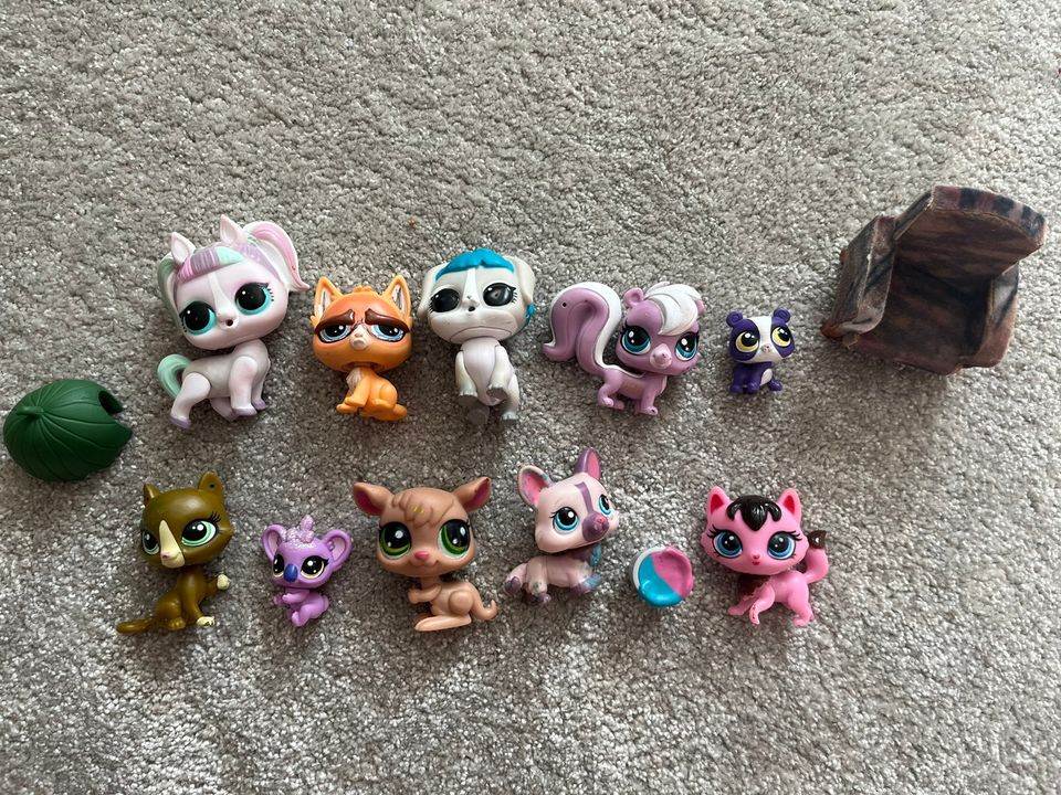 Setti: Littlest Petshop