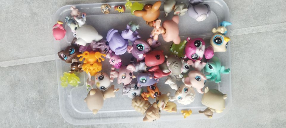 Littlest Pet Shop setti