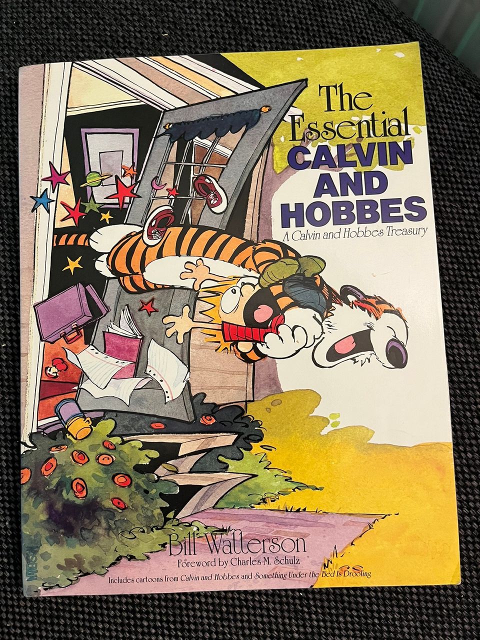 Calvin and Hobbes comics in English