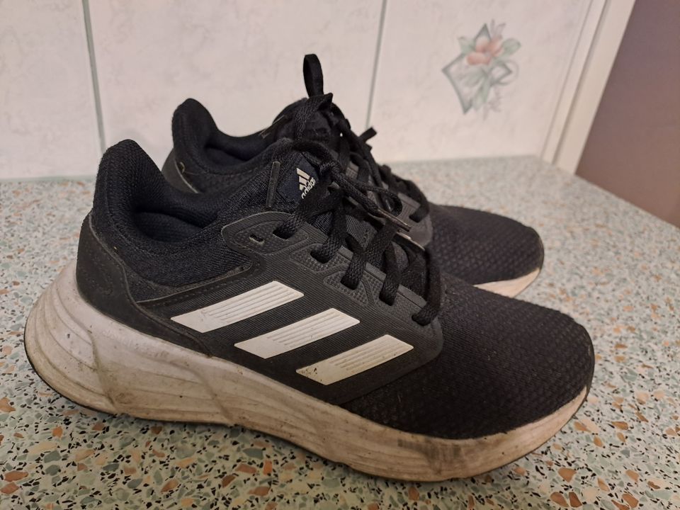 Adidas lenkkarit 38 (37)