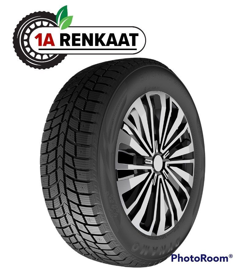 195/55R15 Dynamo Snow-H MWH03 85H DOT21 uudet