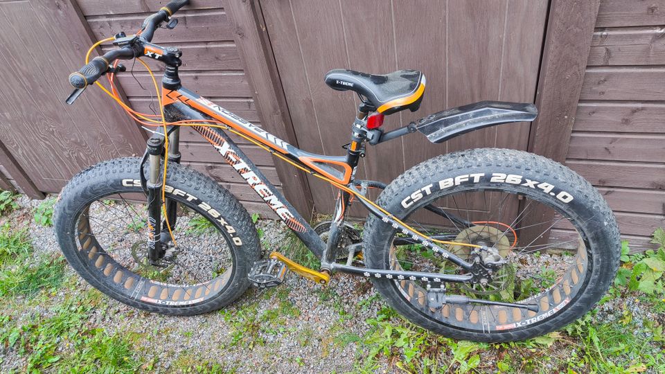 2x fatbike