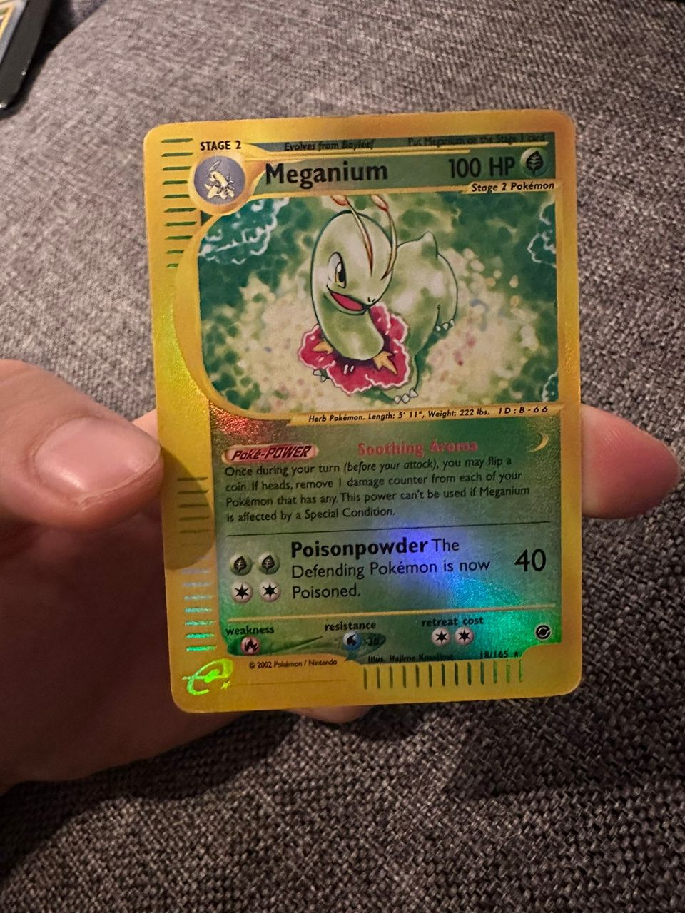 Pokemon meganium reverse holo expedition