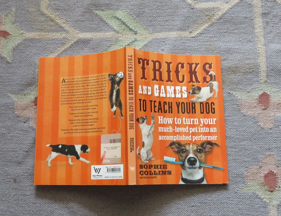 Tricks and Games To Teach Your Dog