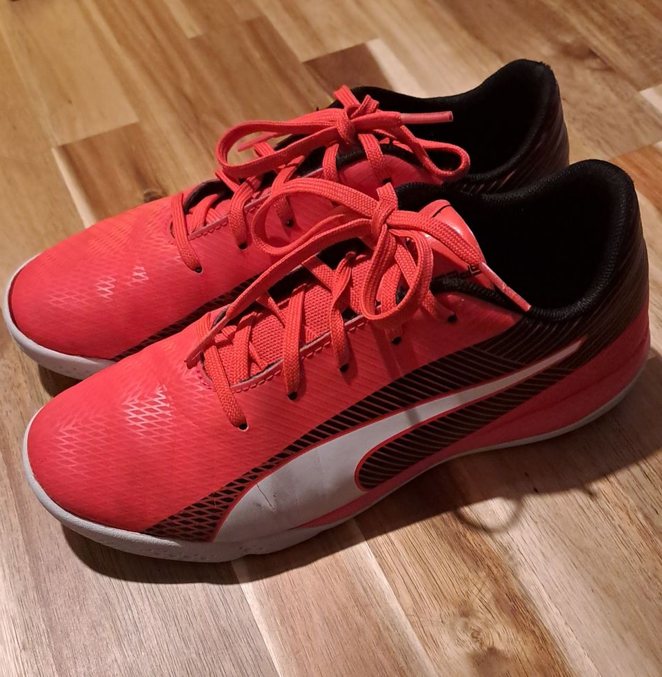 Puma Speedcross sisäpelikengät 35