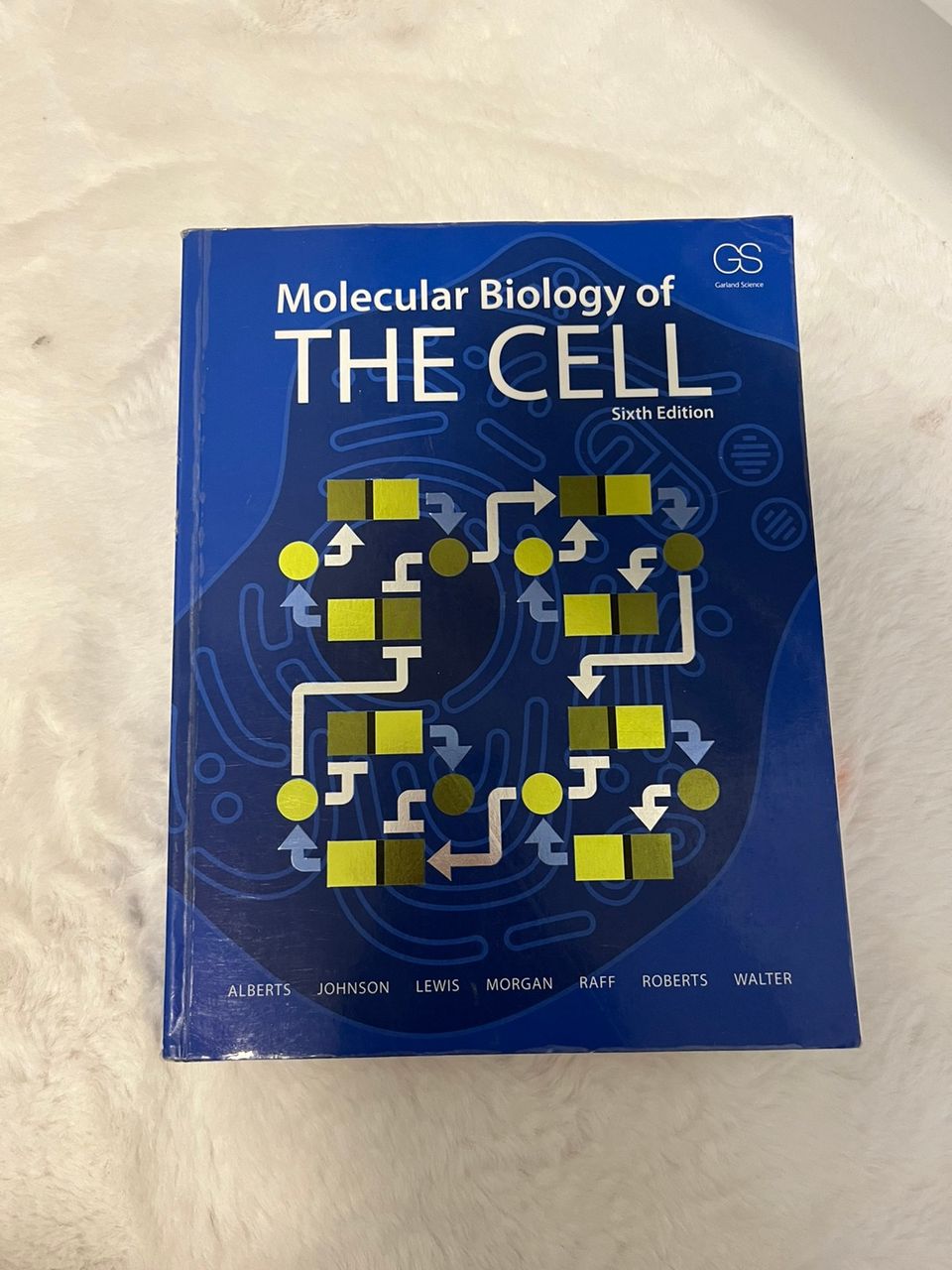 Molecular Biology of the Cell Bruce Alberts kirja