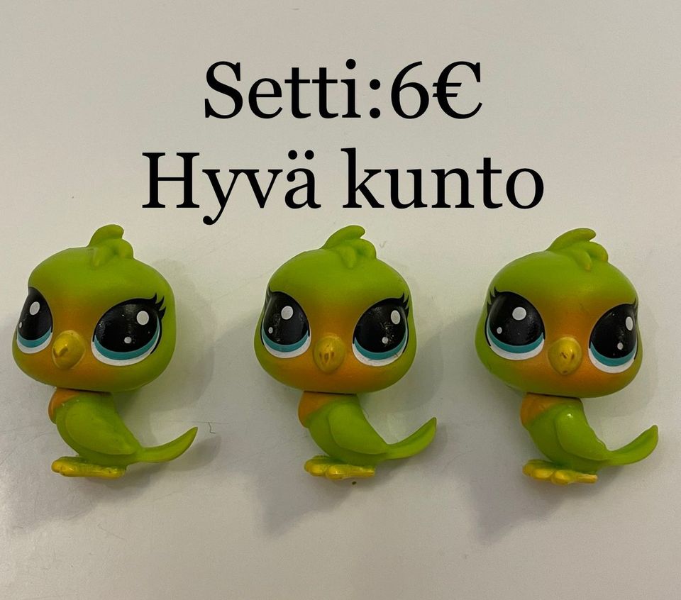 Kaksi lintu settiä