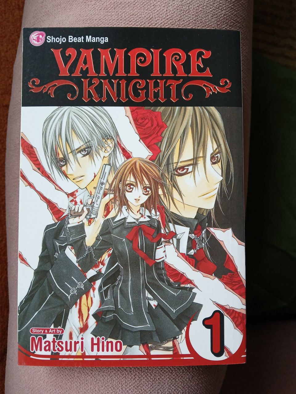 Vampire Knight (koko sarja, eng)