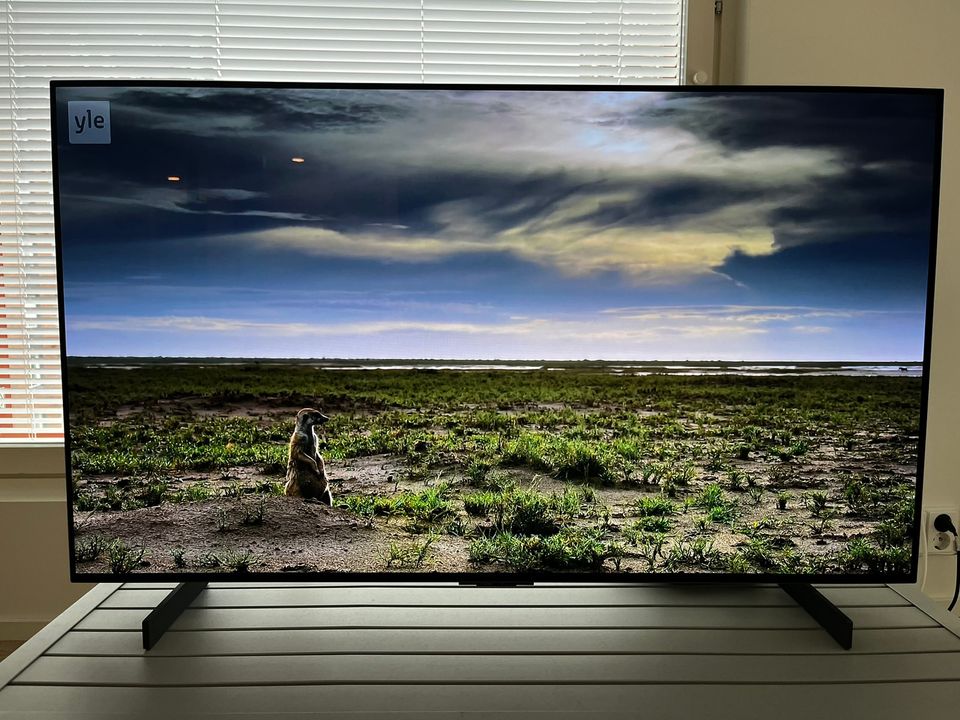 Lg 42" OLED EVO C3 4K