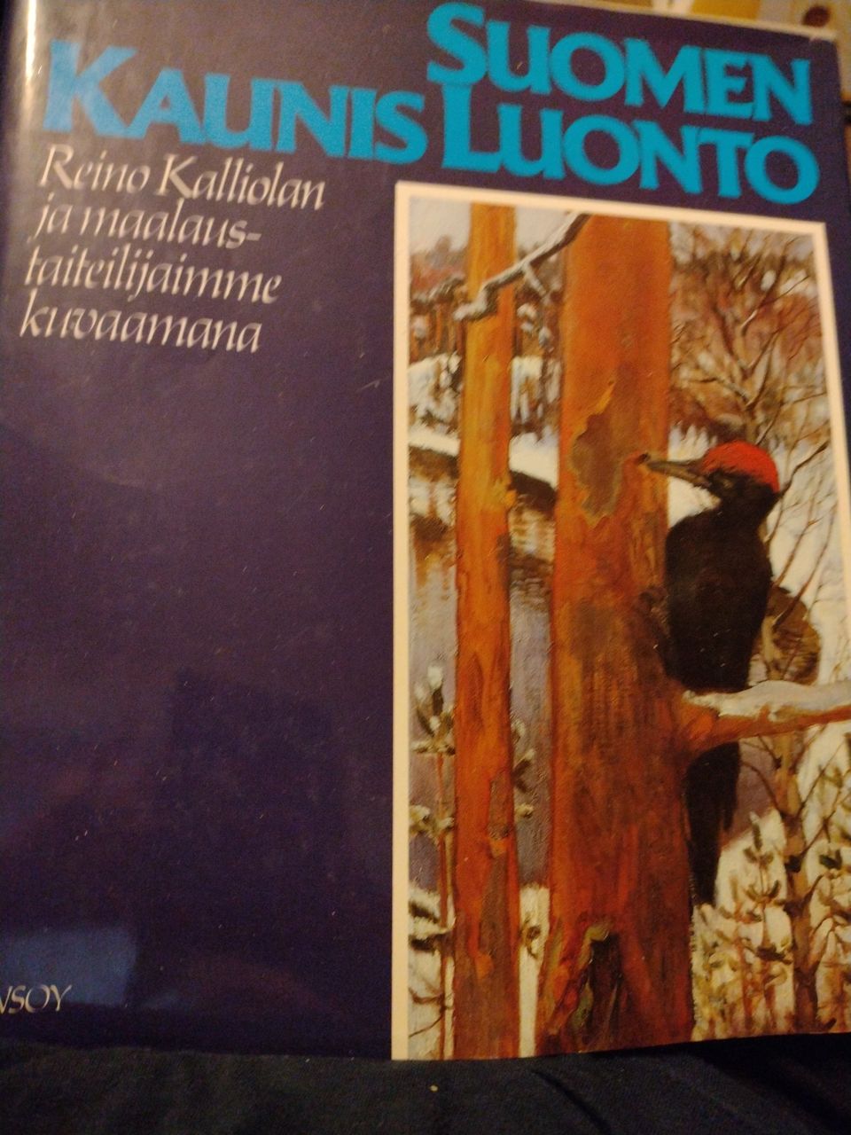 Suomen kaunis luonto Reino Kalliolan ja maalaustaiteilijoimme