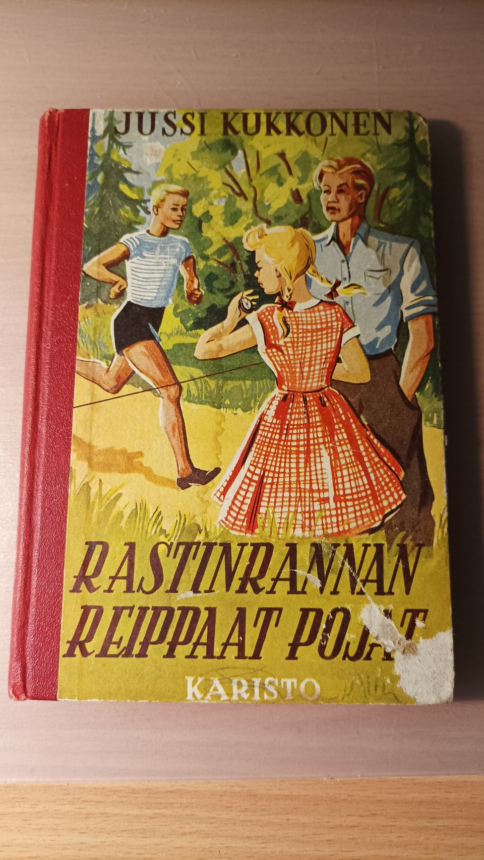 Rastinrannan reippaat pojat - kirja