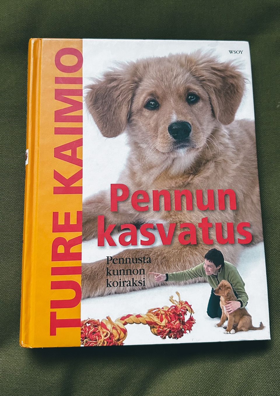 Pennun kasvatus - Tuire Kaimio