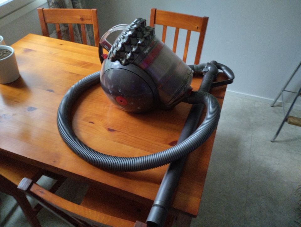 Dyson big ball animalpro