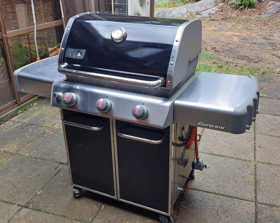 Weber Genesis E310