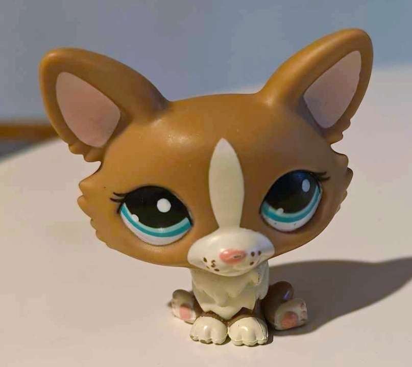 Lps corgi koira #1864