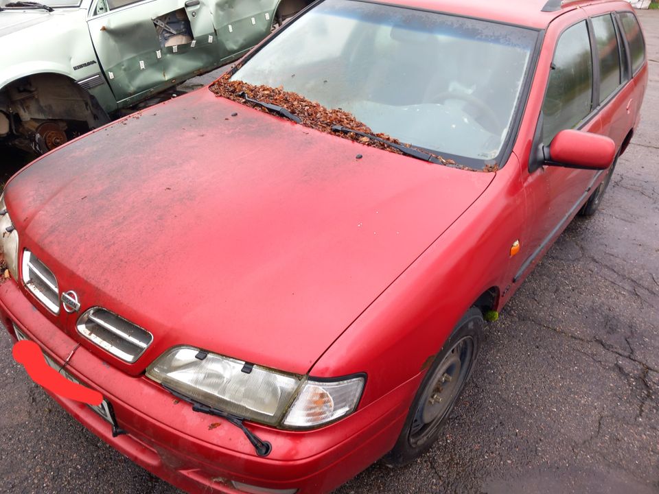 Nissan primera osina