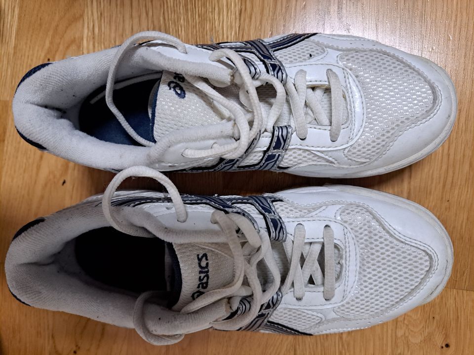 Asics sisäpelikengät