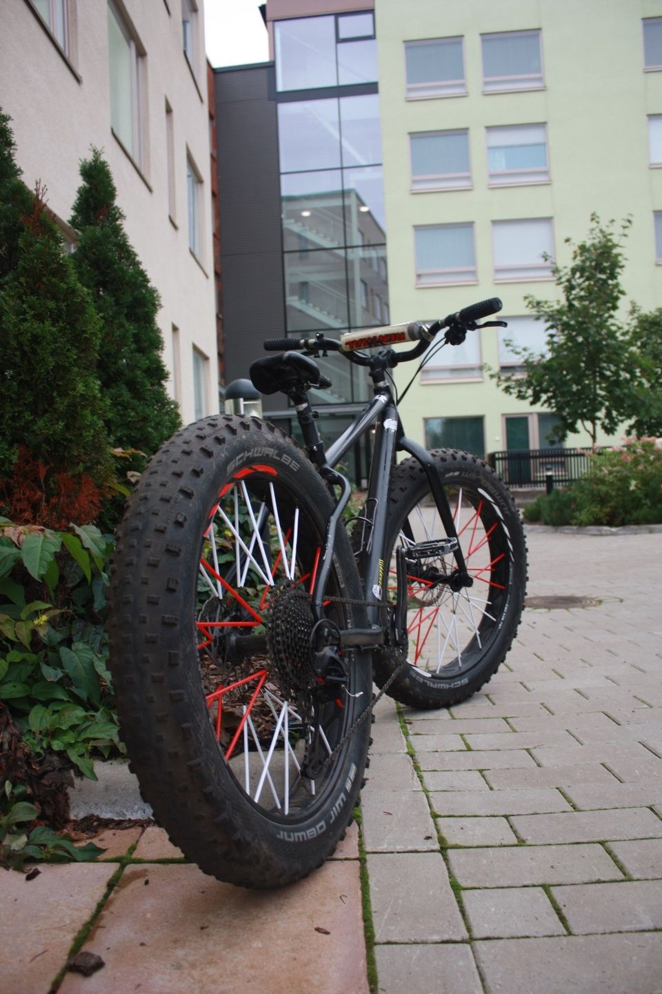 White Fatbike